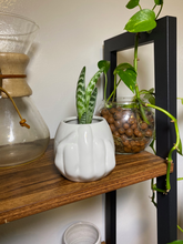 Load image into Gallery viewer, Fucc You Pot | Planter | Naughty Pot | Funny Pot | Gag Gift
