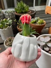 Load image into Gallery viewer, Fucc You Pot | Planter | Naughty Pot | Funny Pot | Gag Gift

