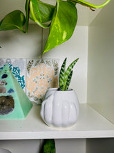 Load image into Gallery viewer, Fucc You Pot | Planter | Naughty Pot | Funny Pot | Gag Gift
